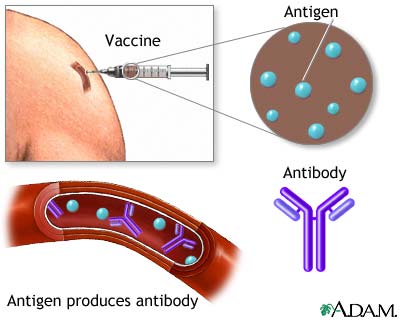 virus a